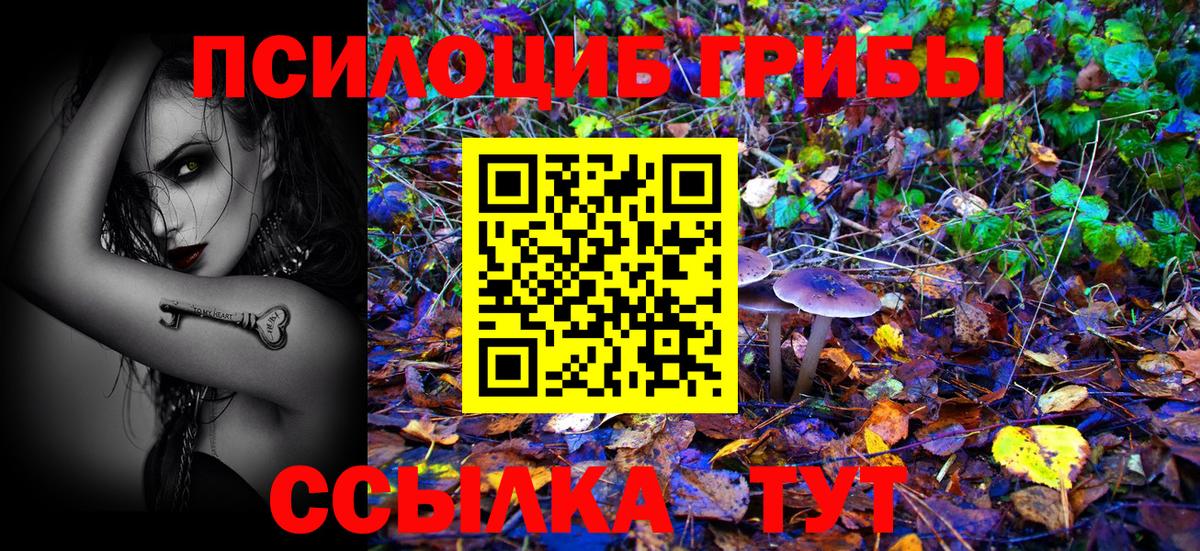 даркнет сайт  Галлюциногенные грибы мицелий  Вход с VPN  Галлюциногенные грибы прущие грибы  Кумертау 