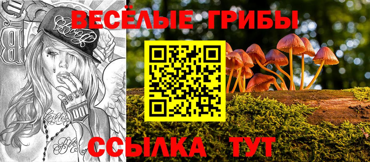 Галлюциногенные грибы Psilocybe Кумертау